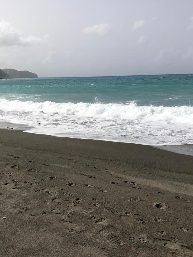 Scarlett Guest House Bull Bay エクステリア 写真