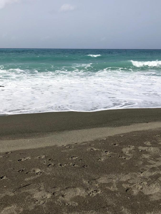 Scarlett Guest House Bull Bay エクステリア 写真